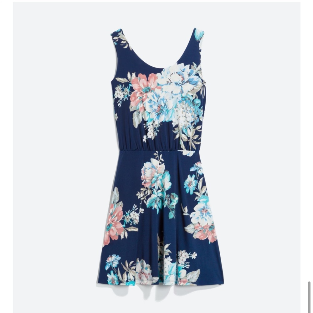 Verse dress. Navy blue floral print. Knee length. Size large